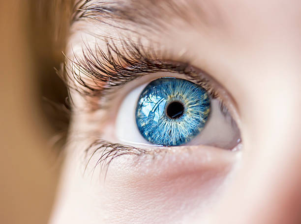 What Can You Learn by Observing Children?
Whether you are ob